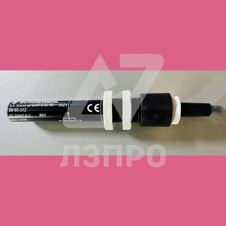 Магнитный герконовый датчик безопасности BN 65-01Z SCHMERSAL