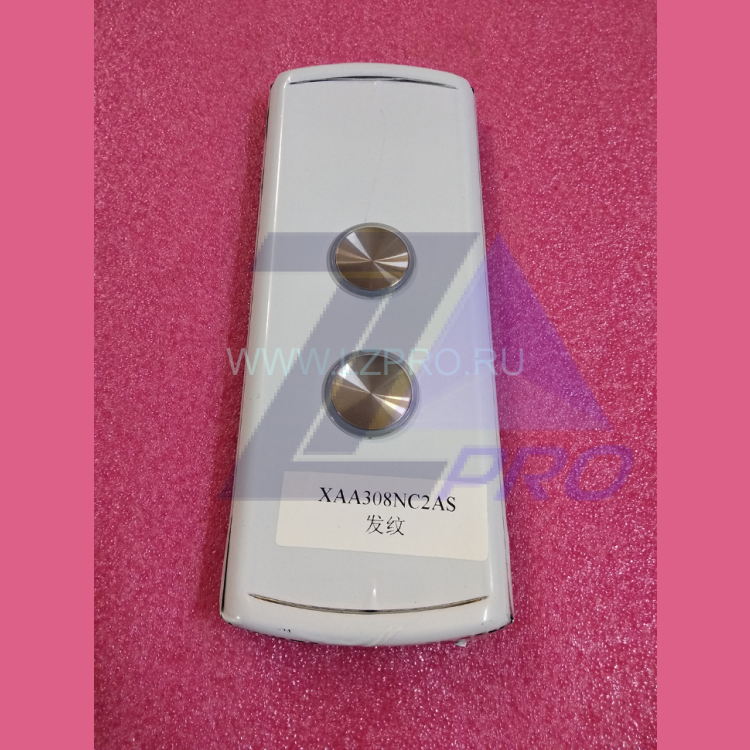 Пост вызывной XAA308NC2AS на две кнопки