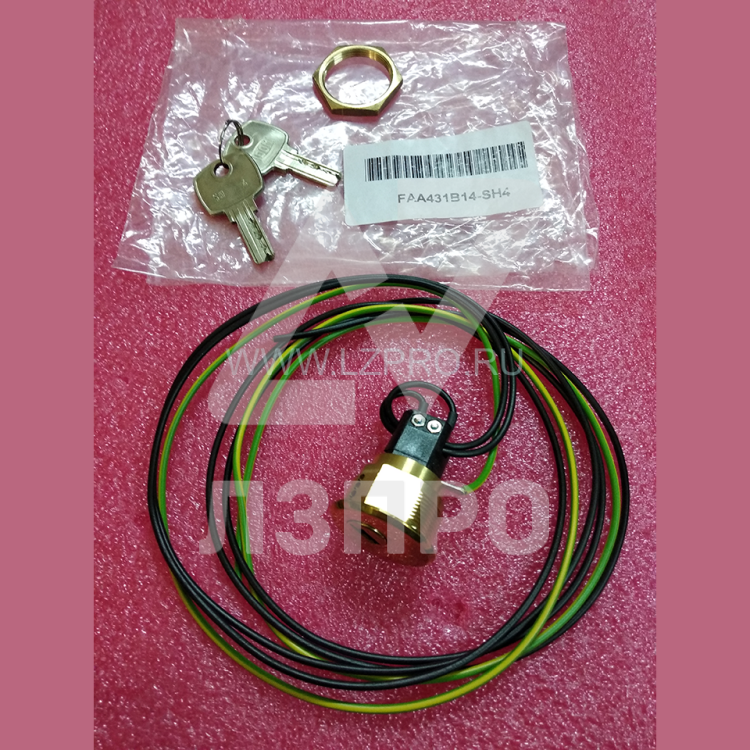 Ключевина (ключ SH4 2 шт., полированная латунь) FAA431B14 Otis