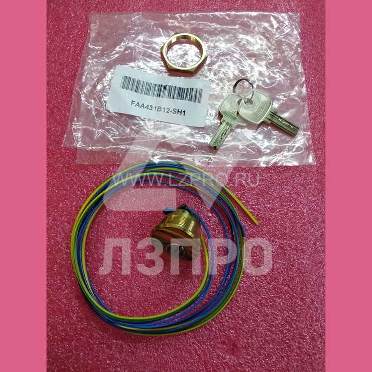 Ключевина (ключ SH1 2 шт., полированная латунь) FAA431B12 Otis