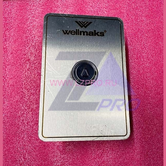 Пост вызывной УЭЛ ПЛВ53-Н1М0100У3 Wellmaks ЩЛЗ